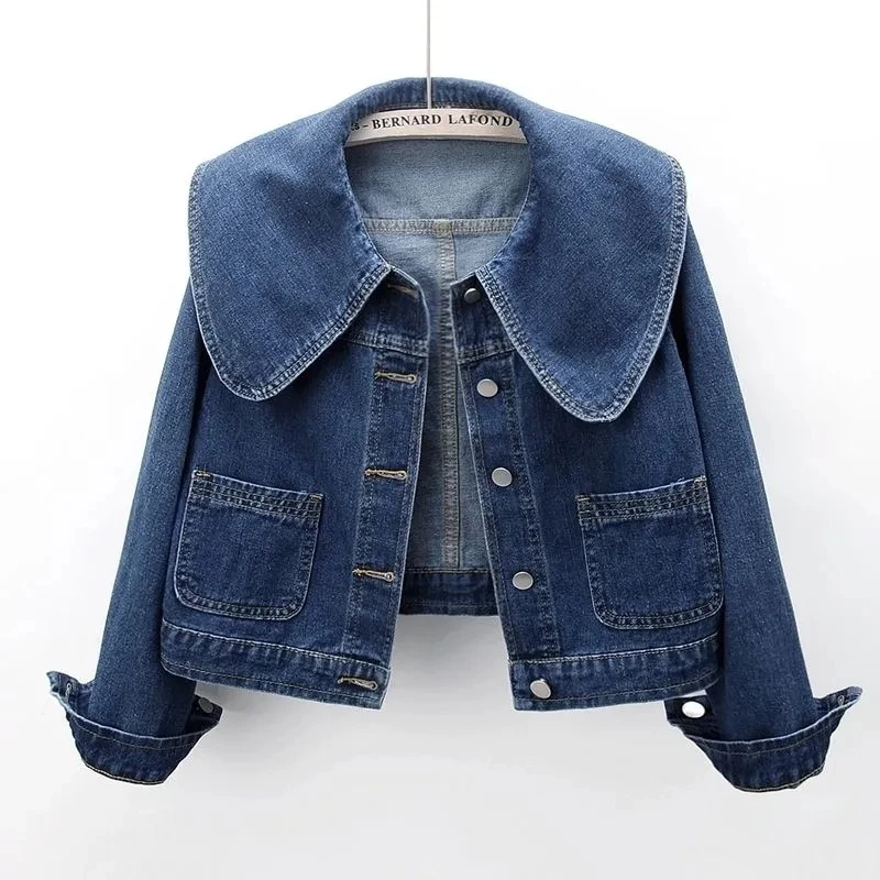2024 New Autumn Women Denim Ja - Down Jacket Packable 리뷰 및 가격